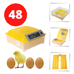 Automatisk äggkläckningsmaskin 48 ägg