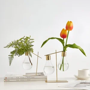 Stilren Förökningsvas för Hemmet och Kontoret - Elegant Design för Tillväxt av Enstaka och Dubbla Växter