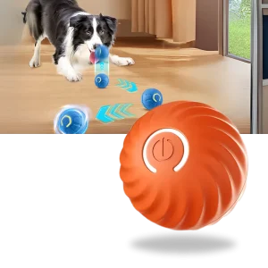 Undvikande boll för hund