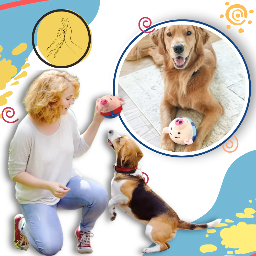 Paw Bounce Sensorleksak - Bild 8