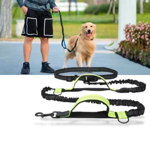 Säkert och ergonomiskt hundkoppel för midjan